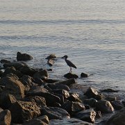 Baja2011 503 : Baja2011